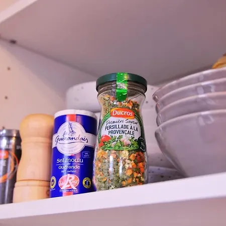 Javelot2 Cosy Paris13 Direct To Louvre